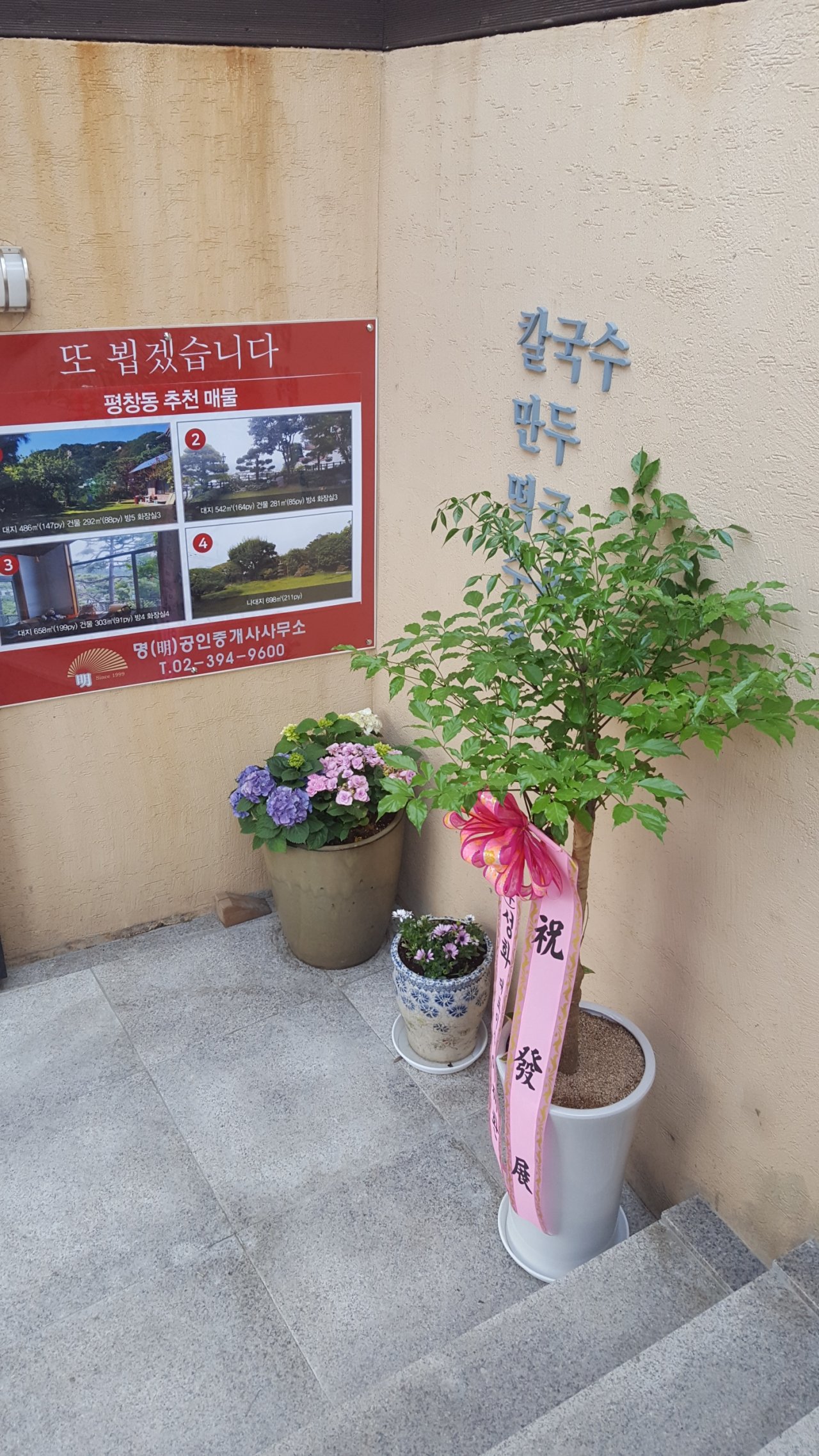 토속칼국수 대표 이미지