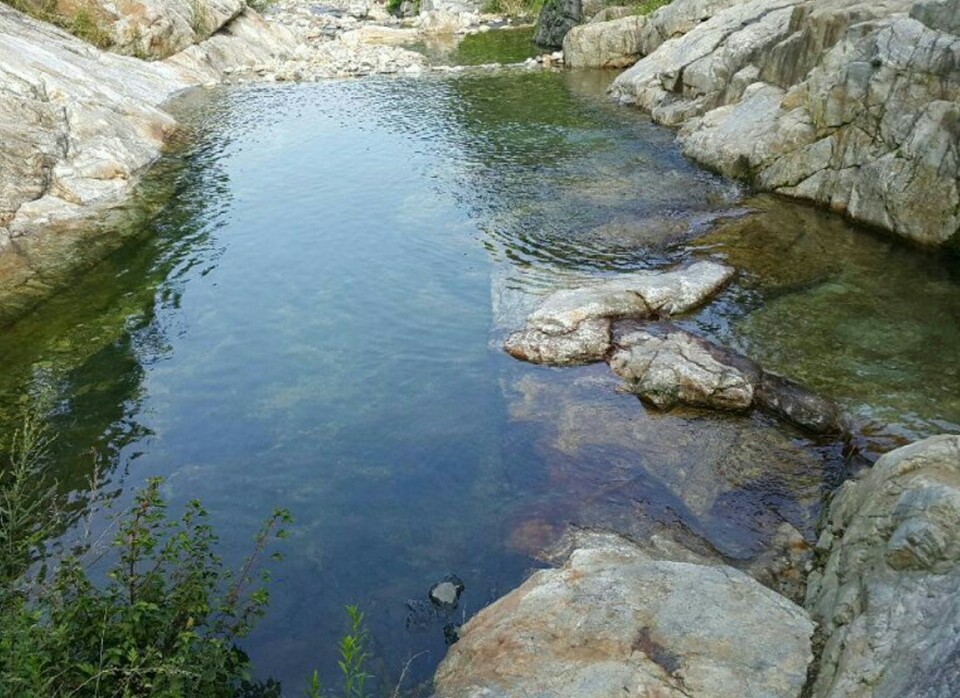 참존민박