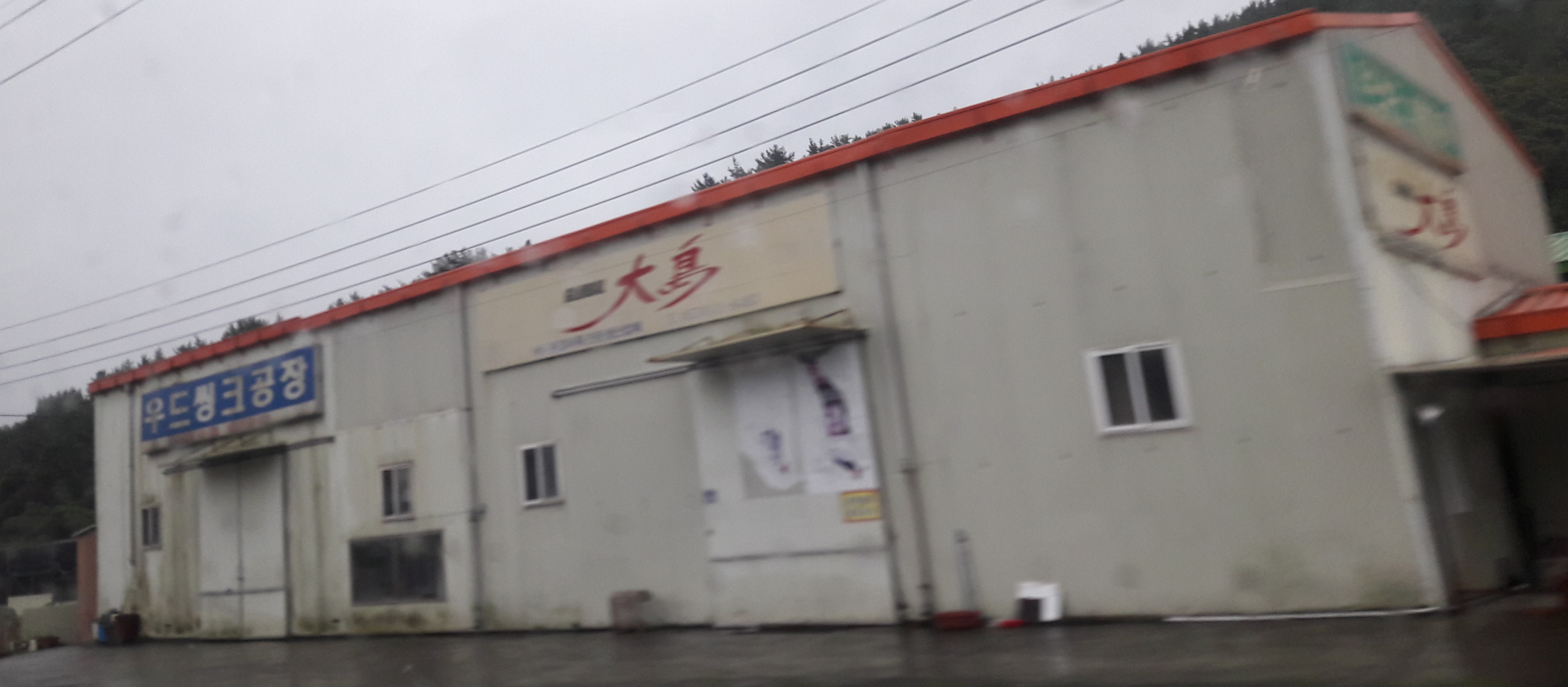 우드싱크 대표 이미지