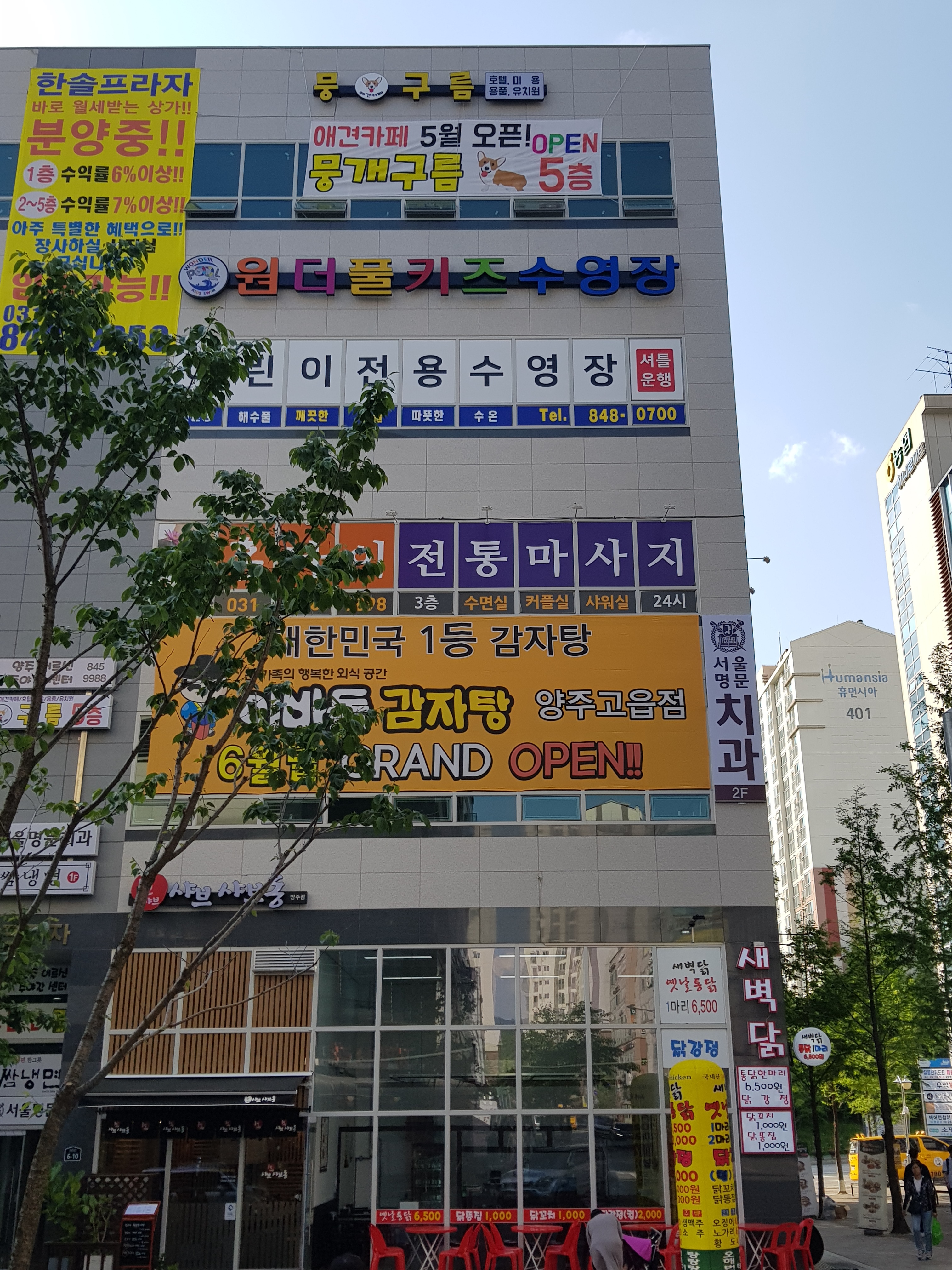 뭉개구름위드펫