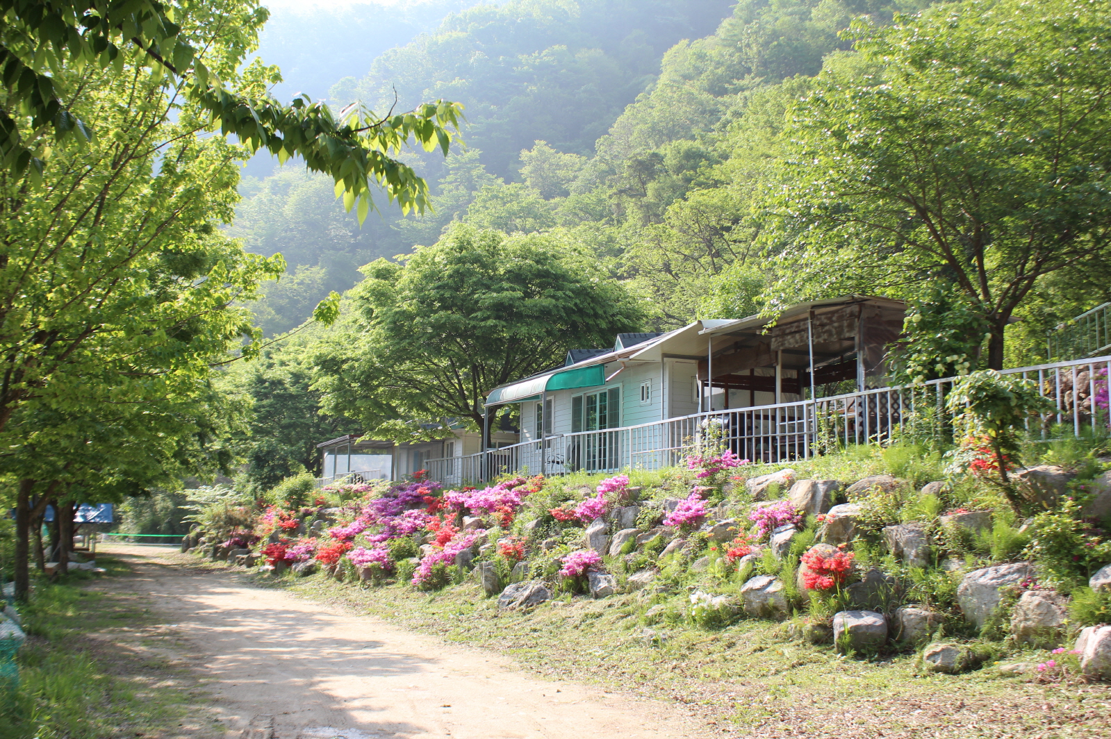 성주 산그늘펜션