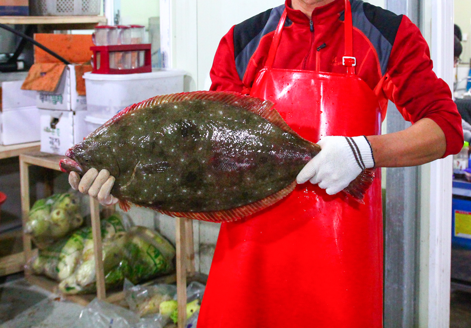 성산포 자연산 회센타