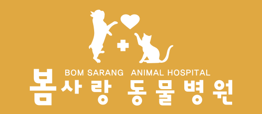 주변 가볼만한 곳