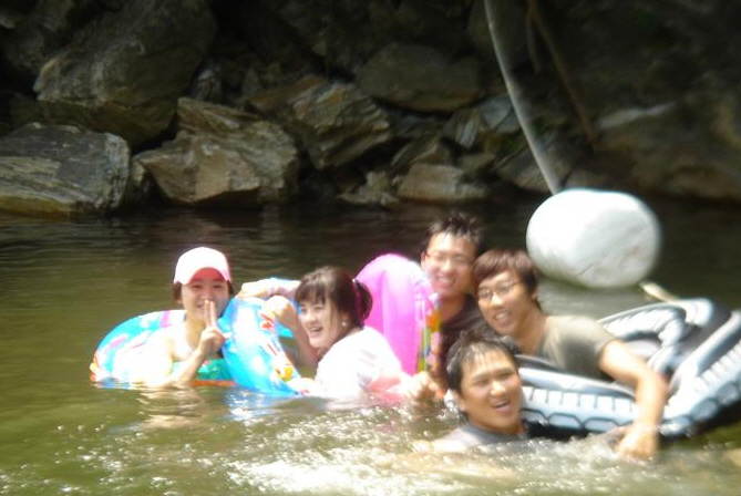 산수정