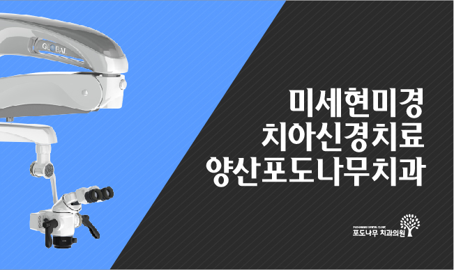 포도나무치과의원 대표 이미지