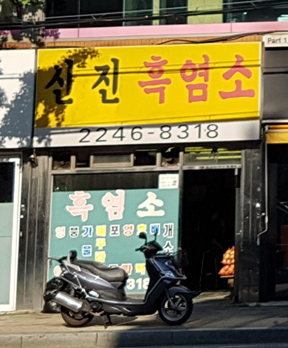 신진흑염소