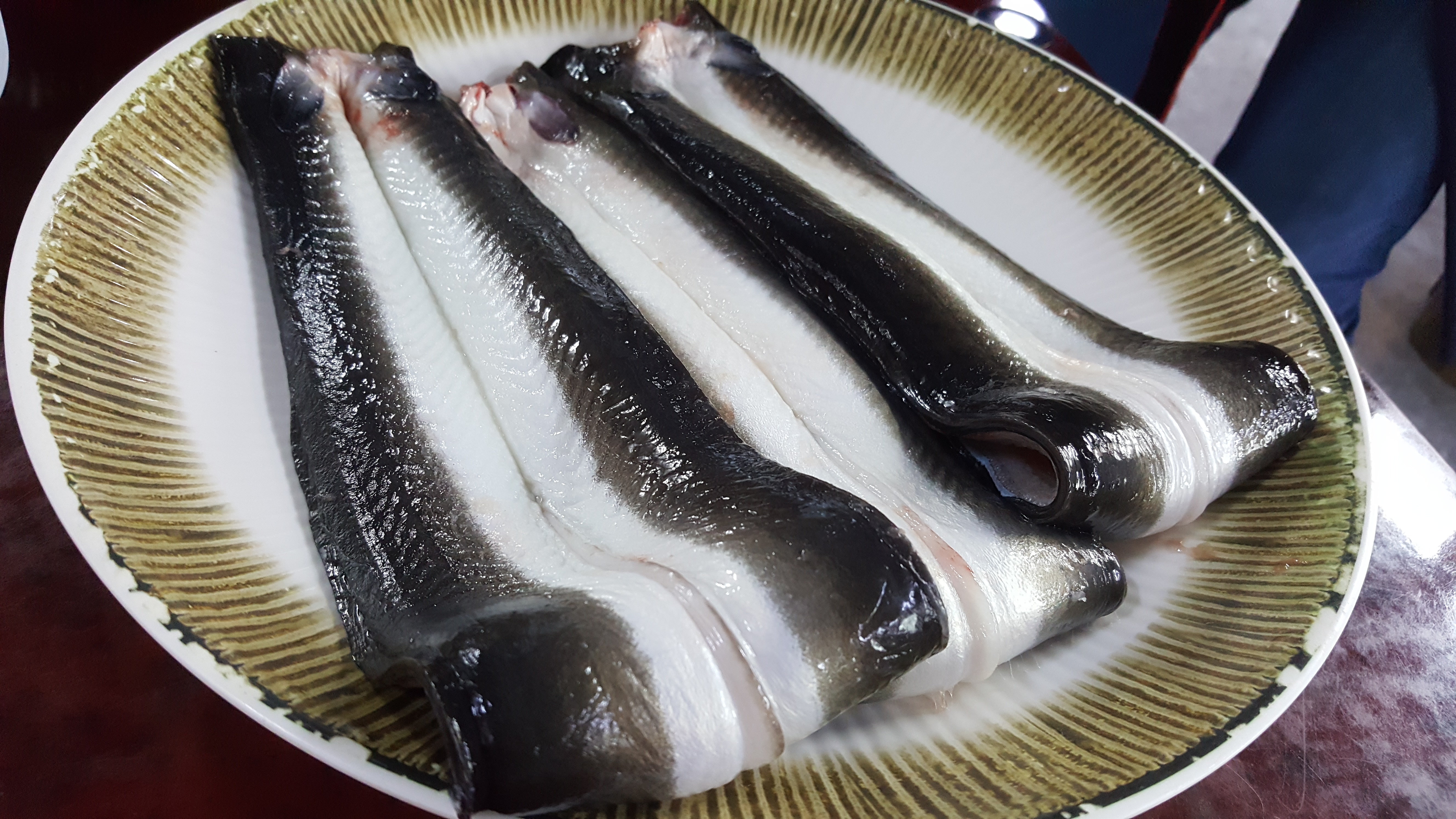 백운장어마을 반려동물 동반 애견카페