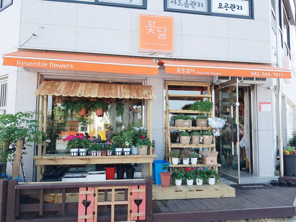 꽃닮 꽃집