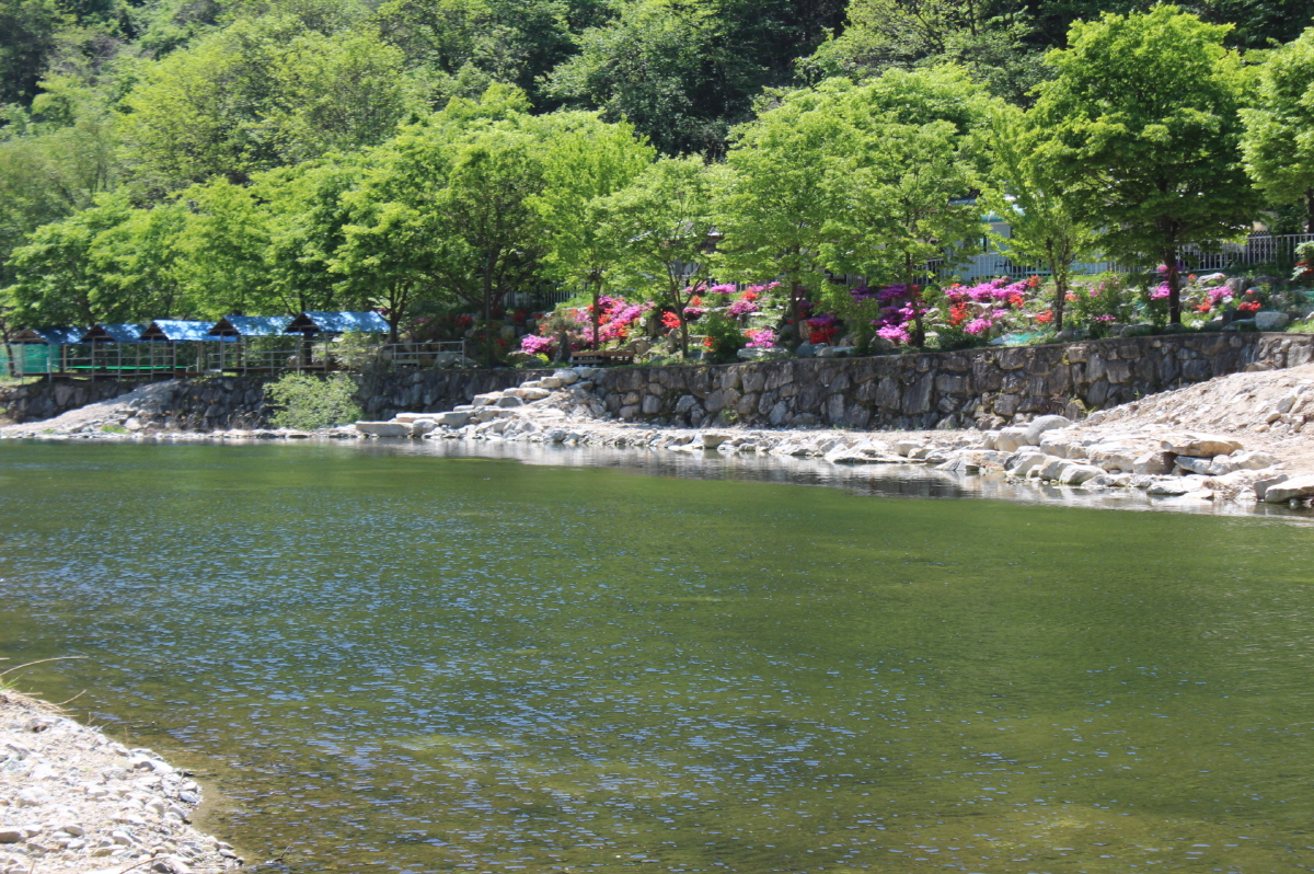 성주 산그늘펜션