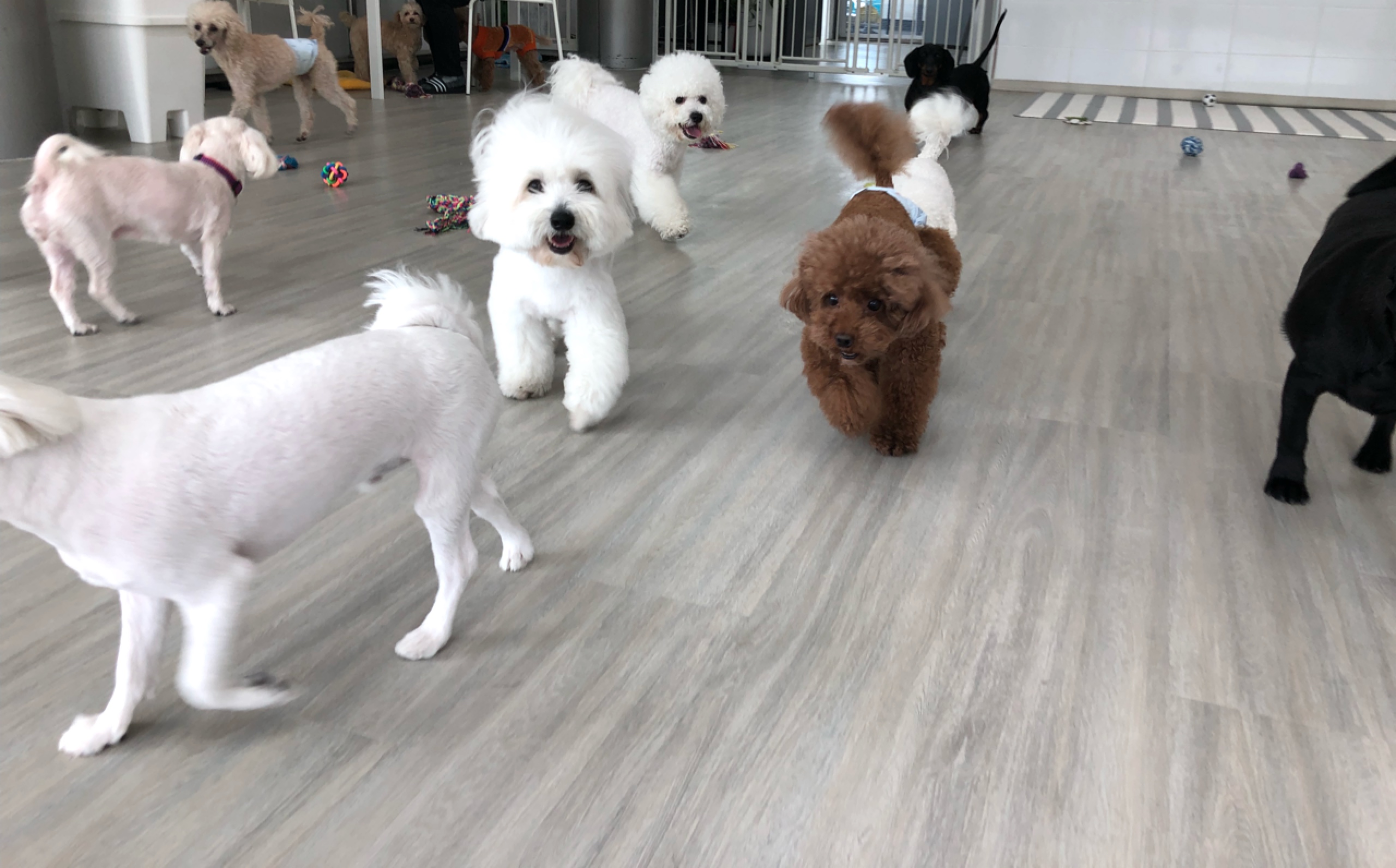 이미지