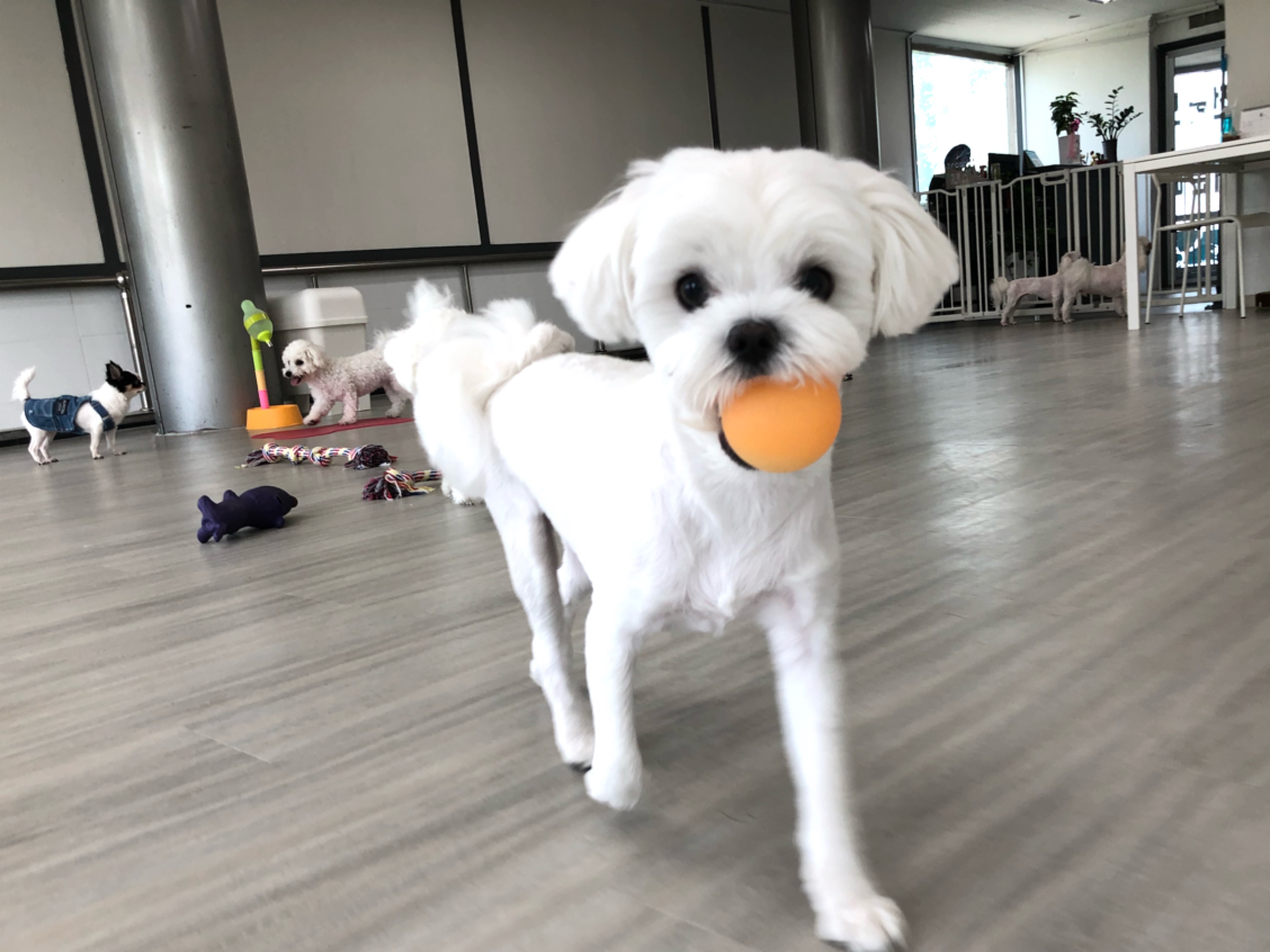 이미지