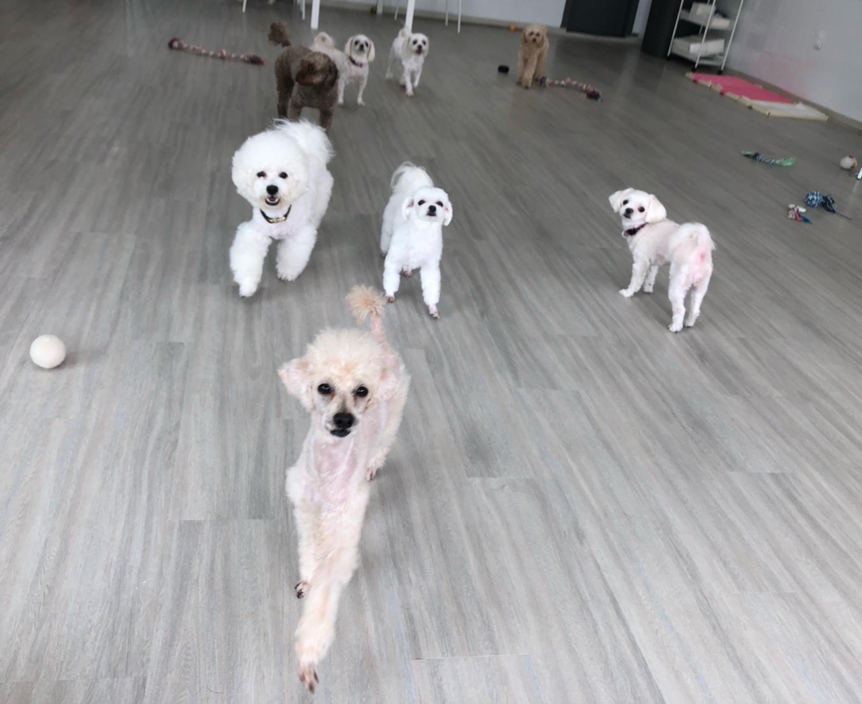 이미지