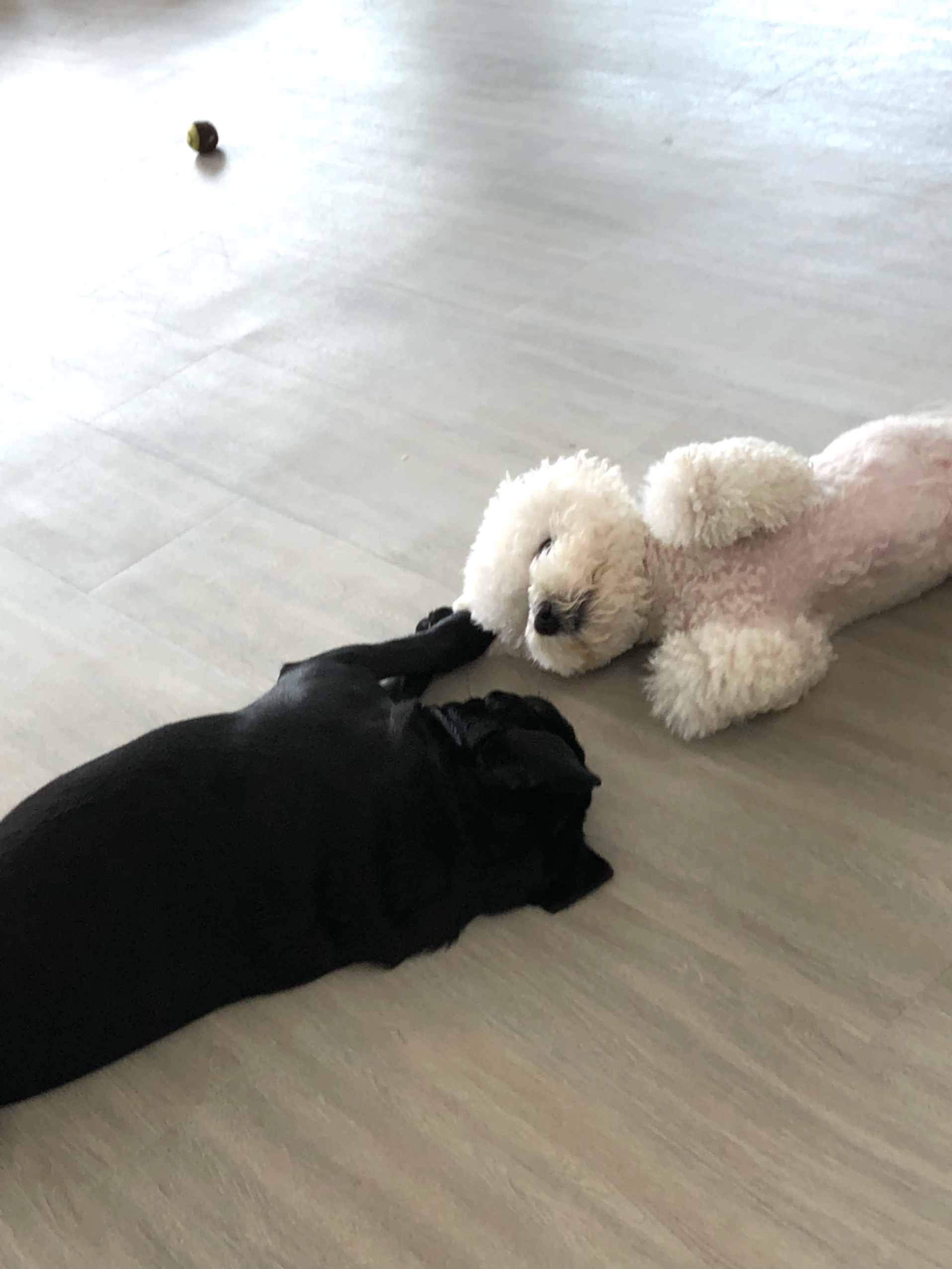 이미지