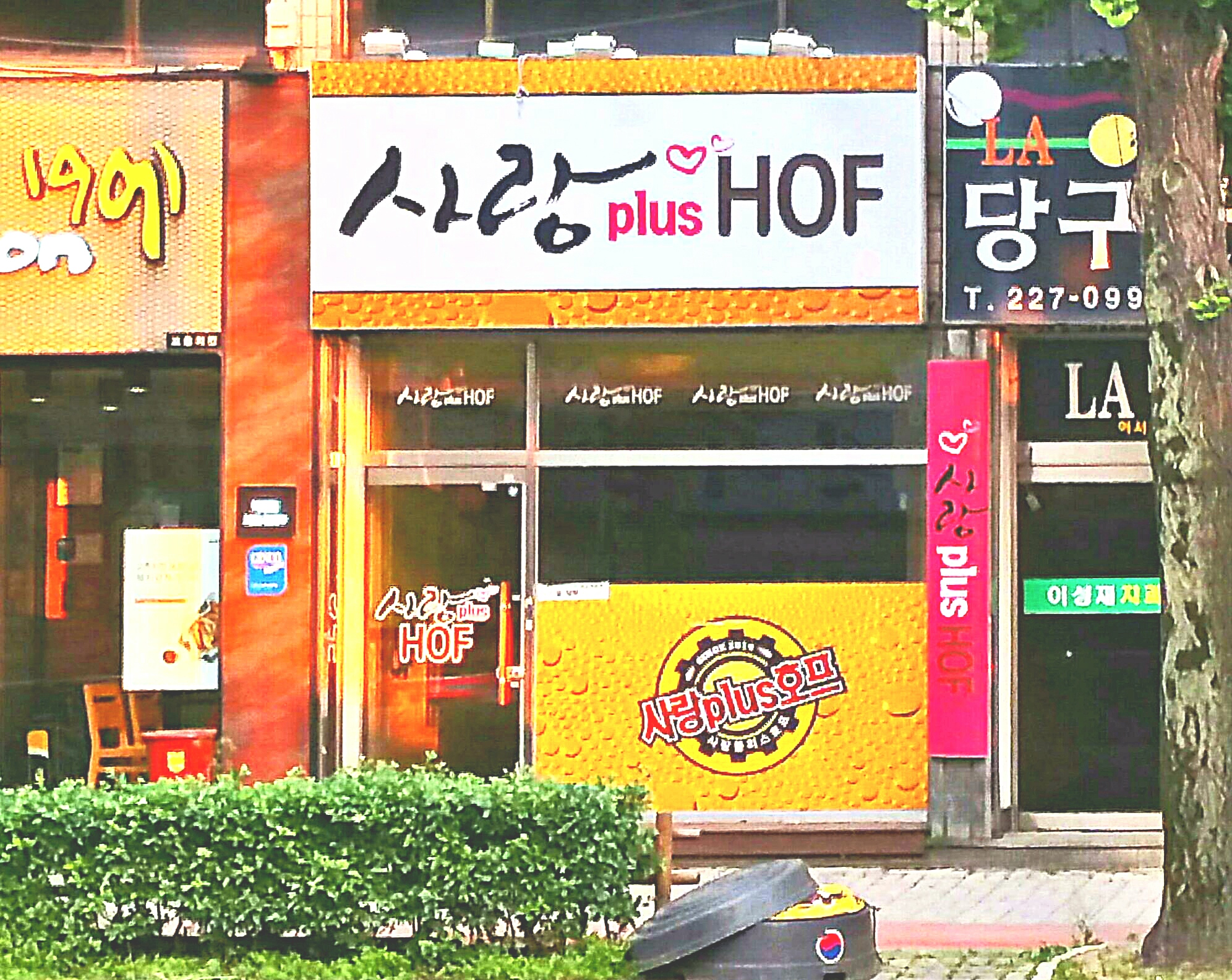 사랑플러스호프