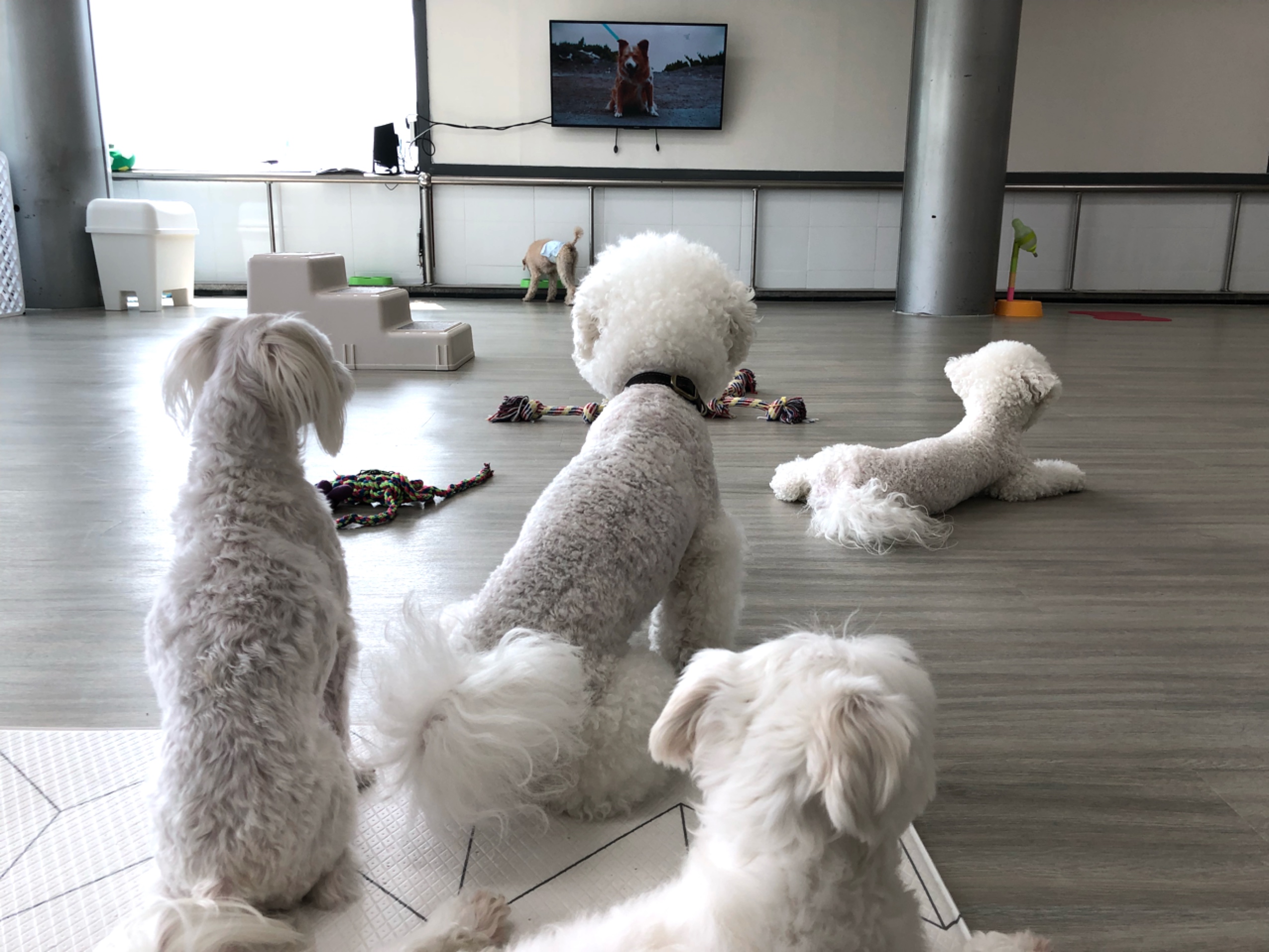 주변 가볼만한 곳
