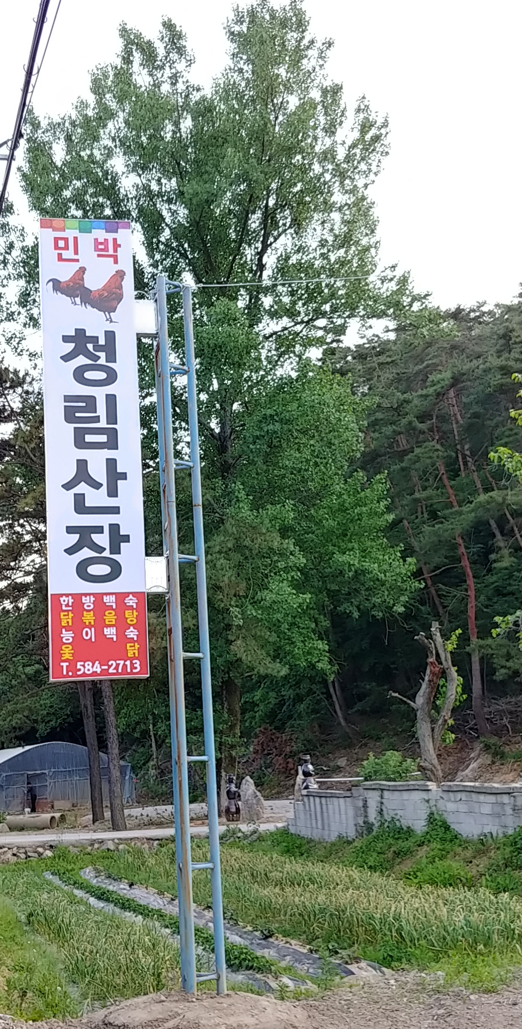 DA.dodo | 능이백숙추천 전북 김제시 능이백숙잘하는 맛집 방문해 보세요 청림산장