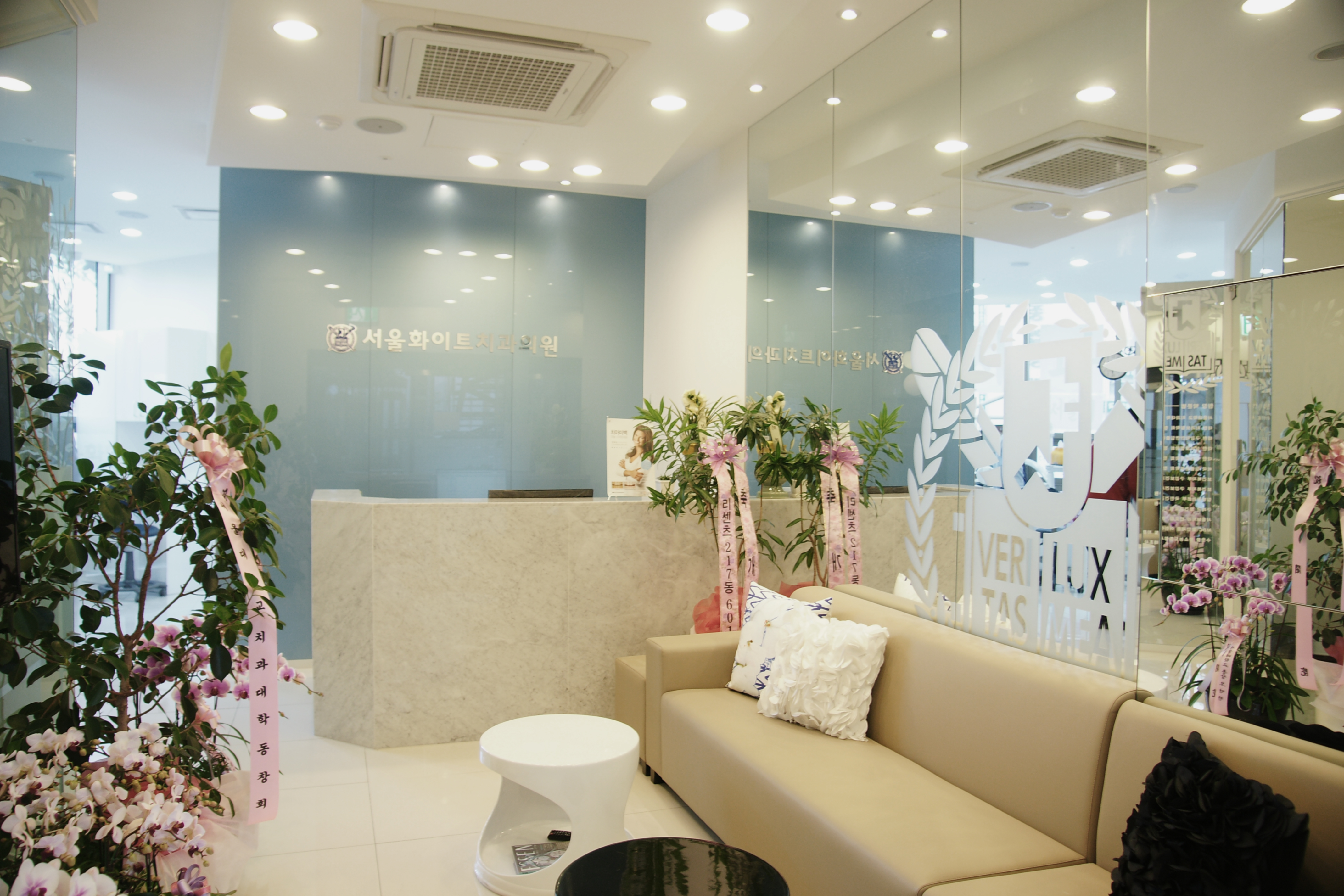 서울화이트치과의원 대표 이미지