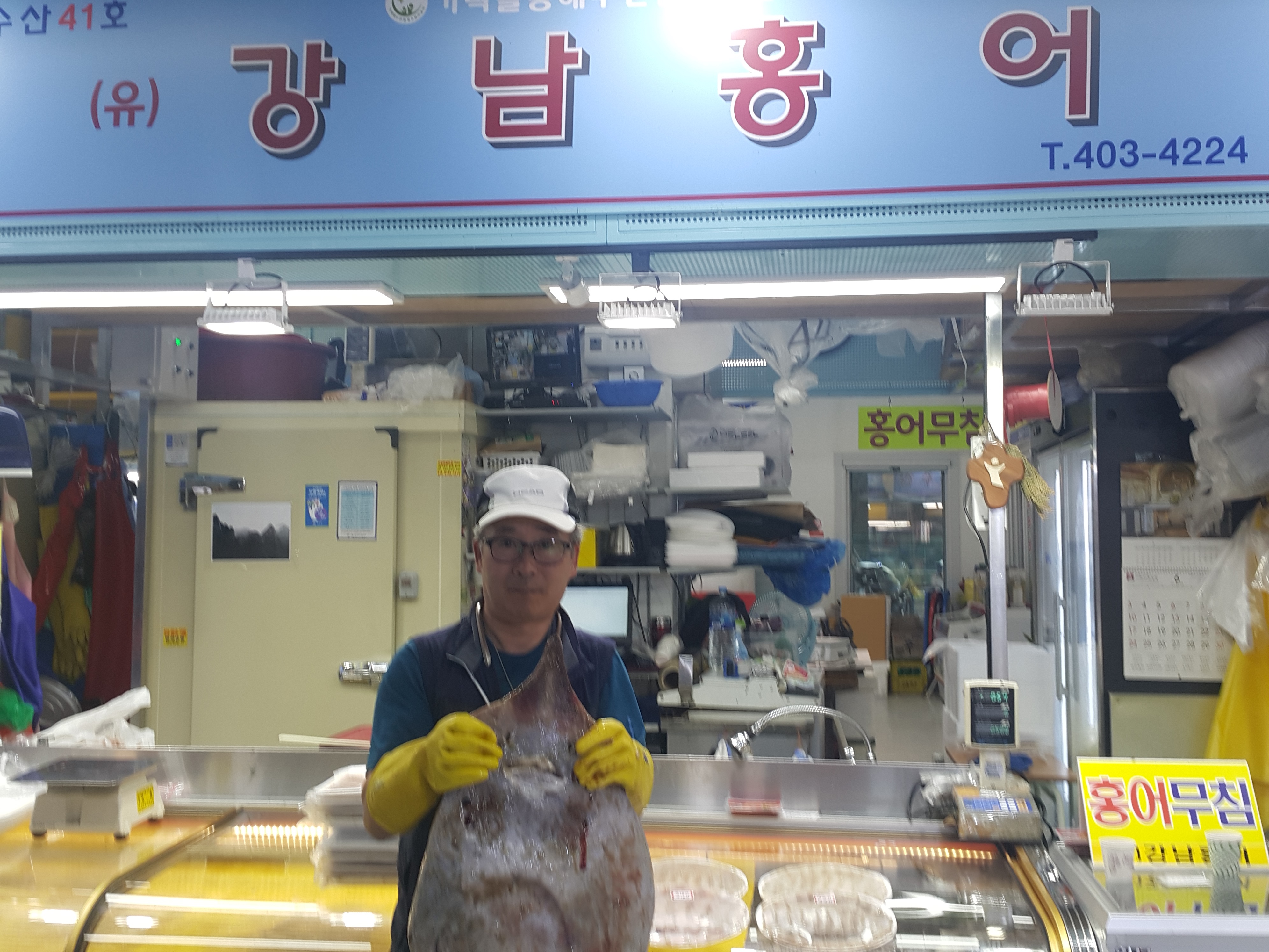 강남홍어