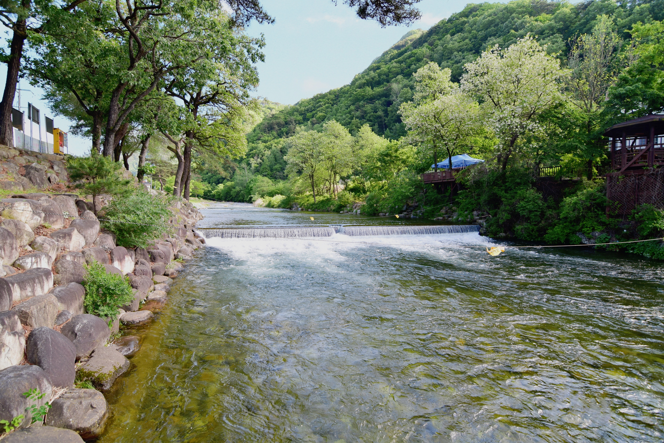 솔밭공원휴게소 대표 이미지