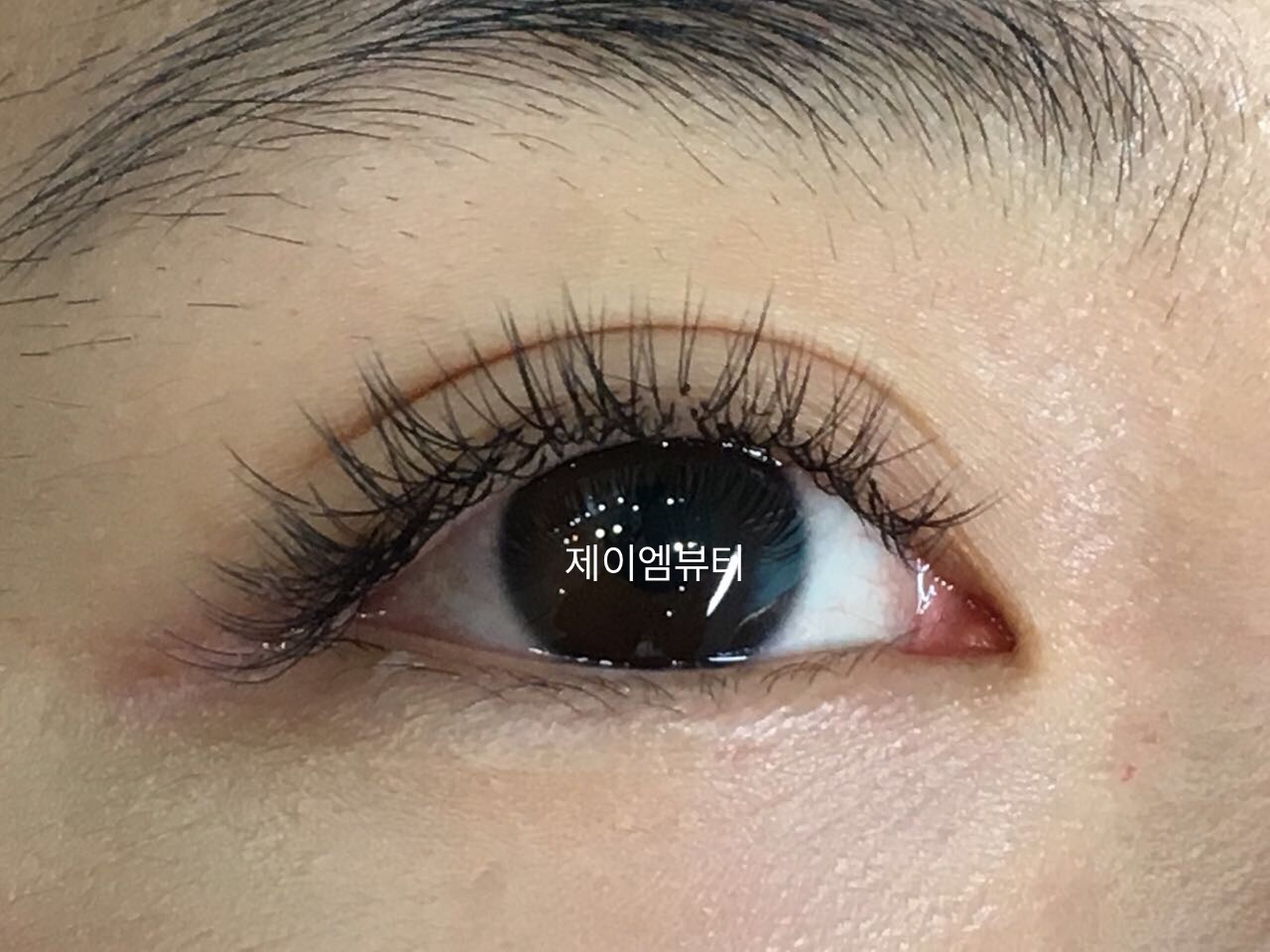 케이뷰티