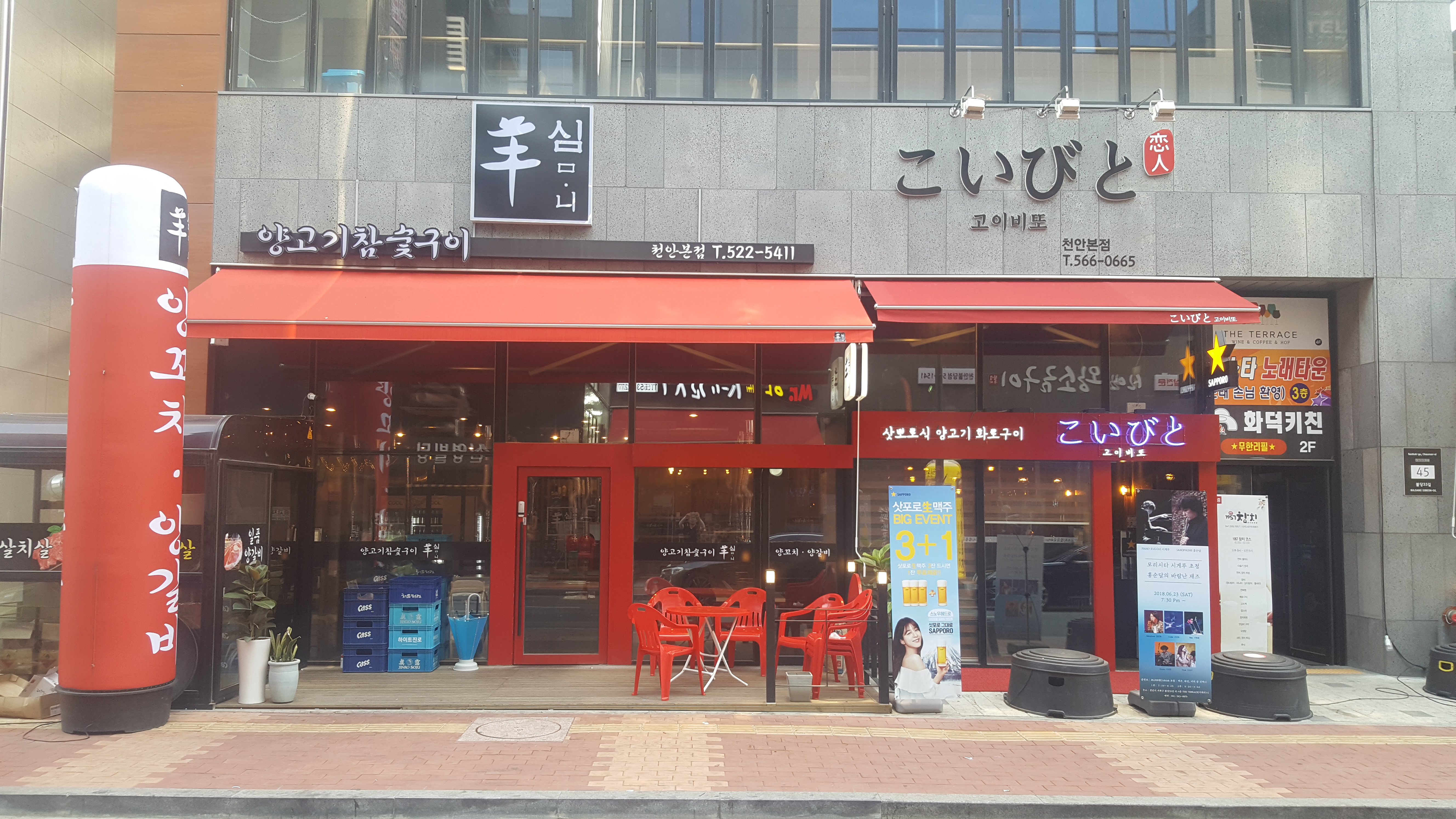 양심마니 성성점