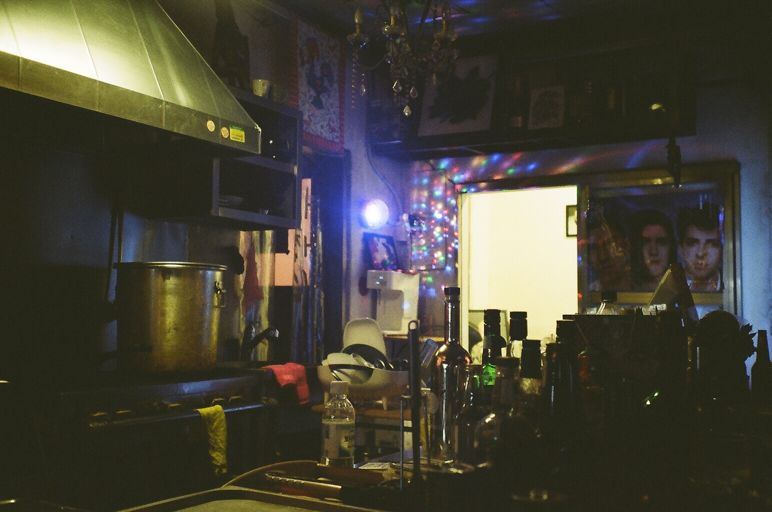 호랑이 대표 이미지