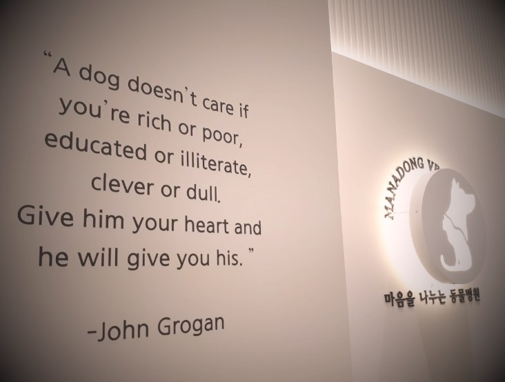 마음을나누는동물병원 대표 이미지