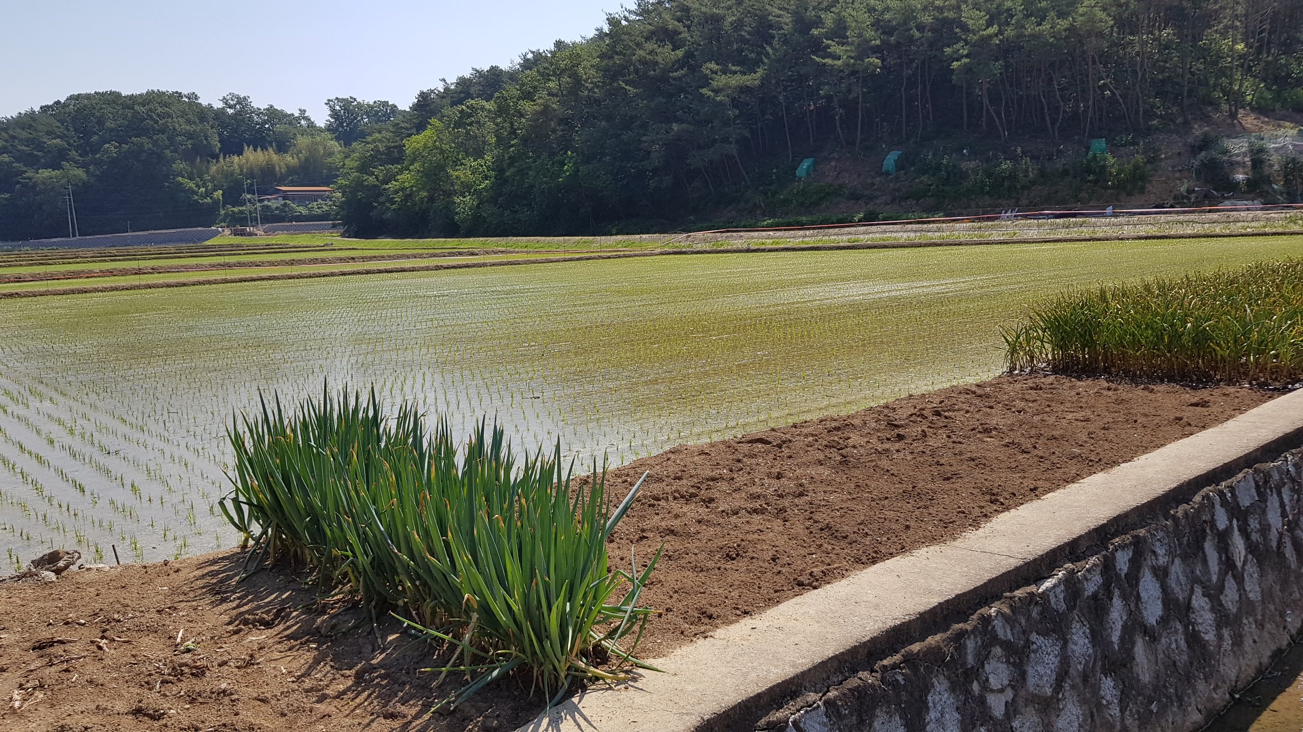 청산가족농원