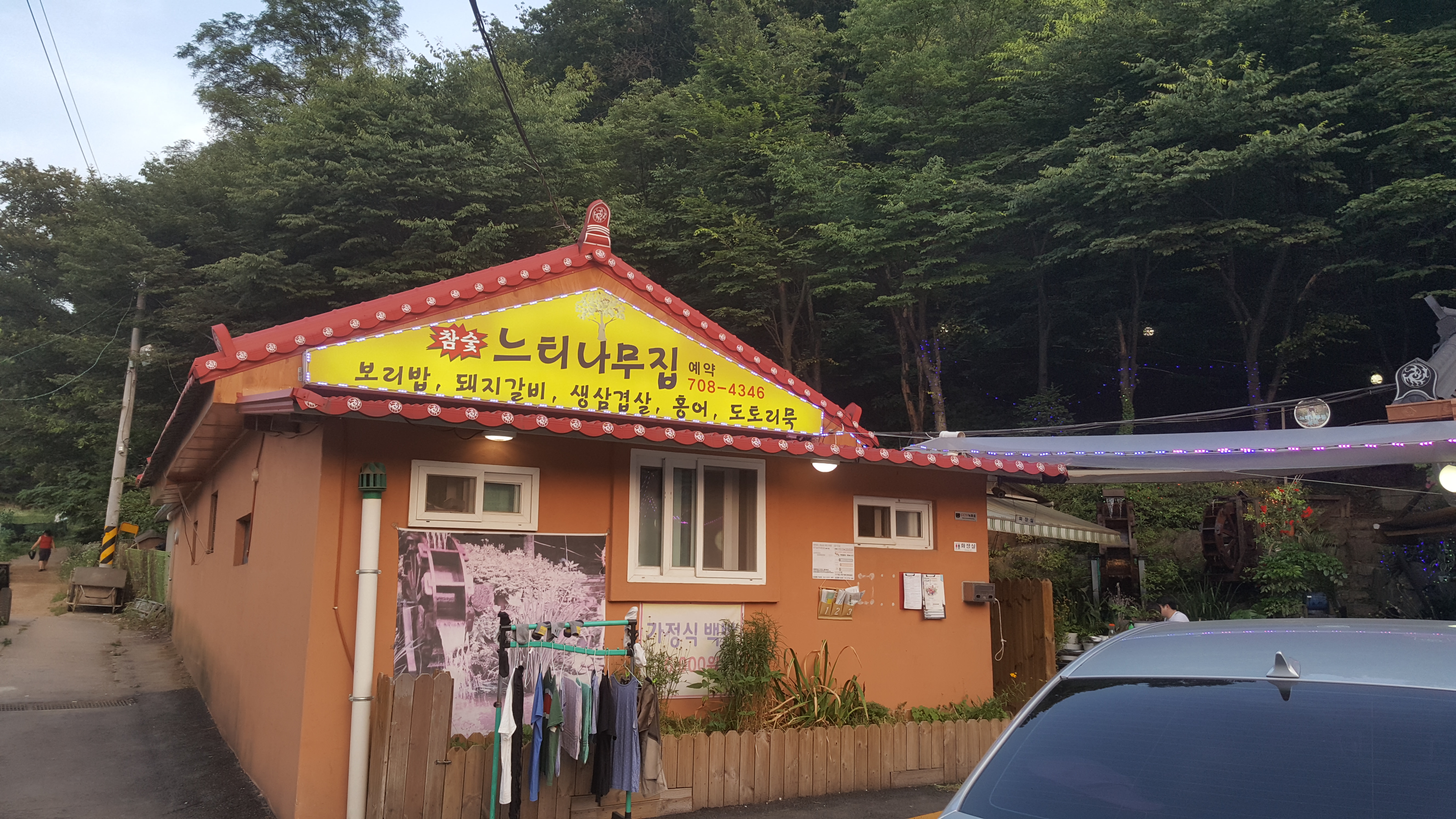 느티나무집