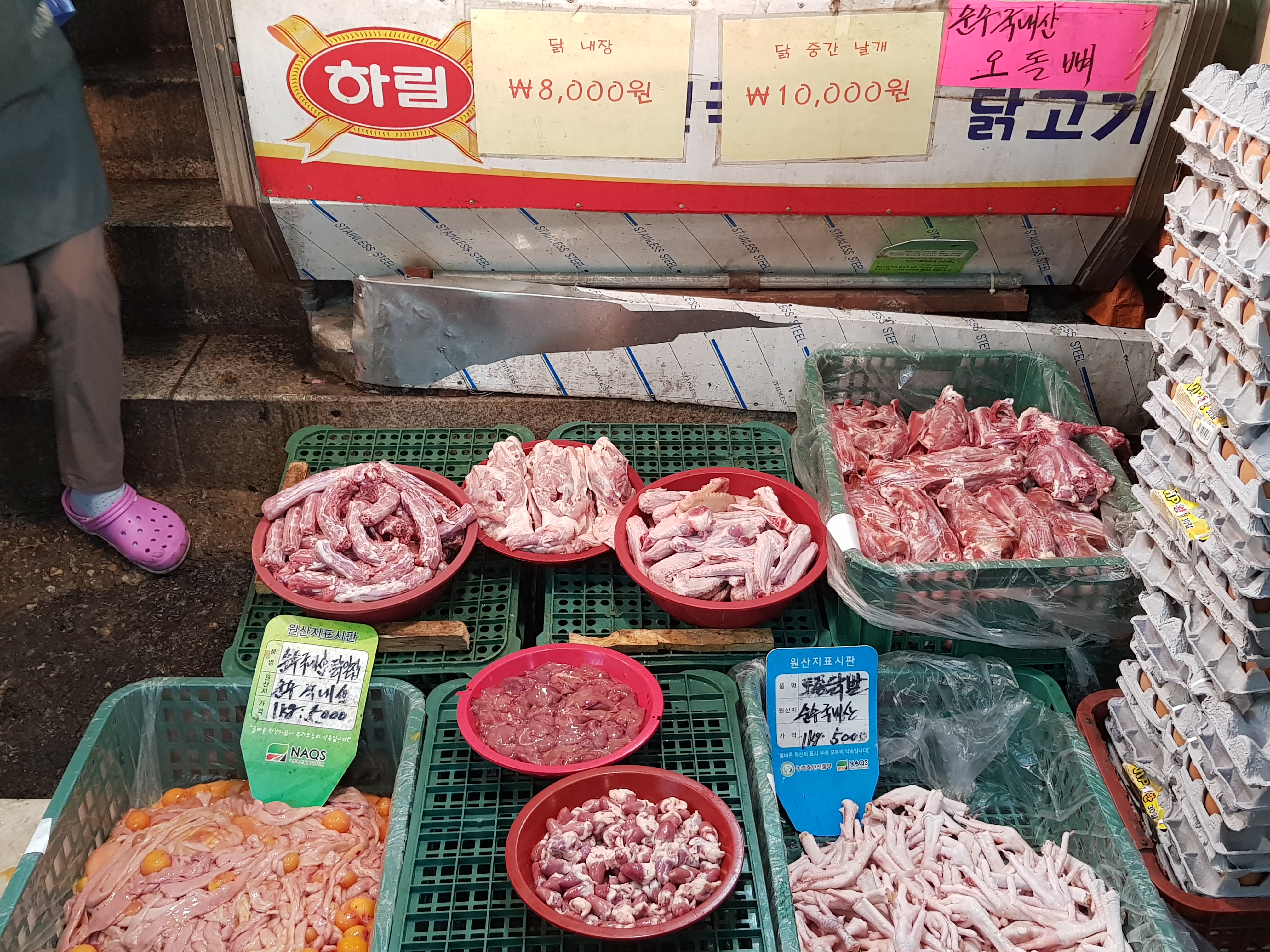 대우닭