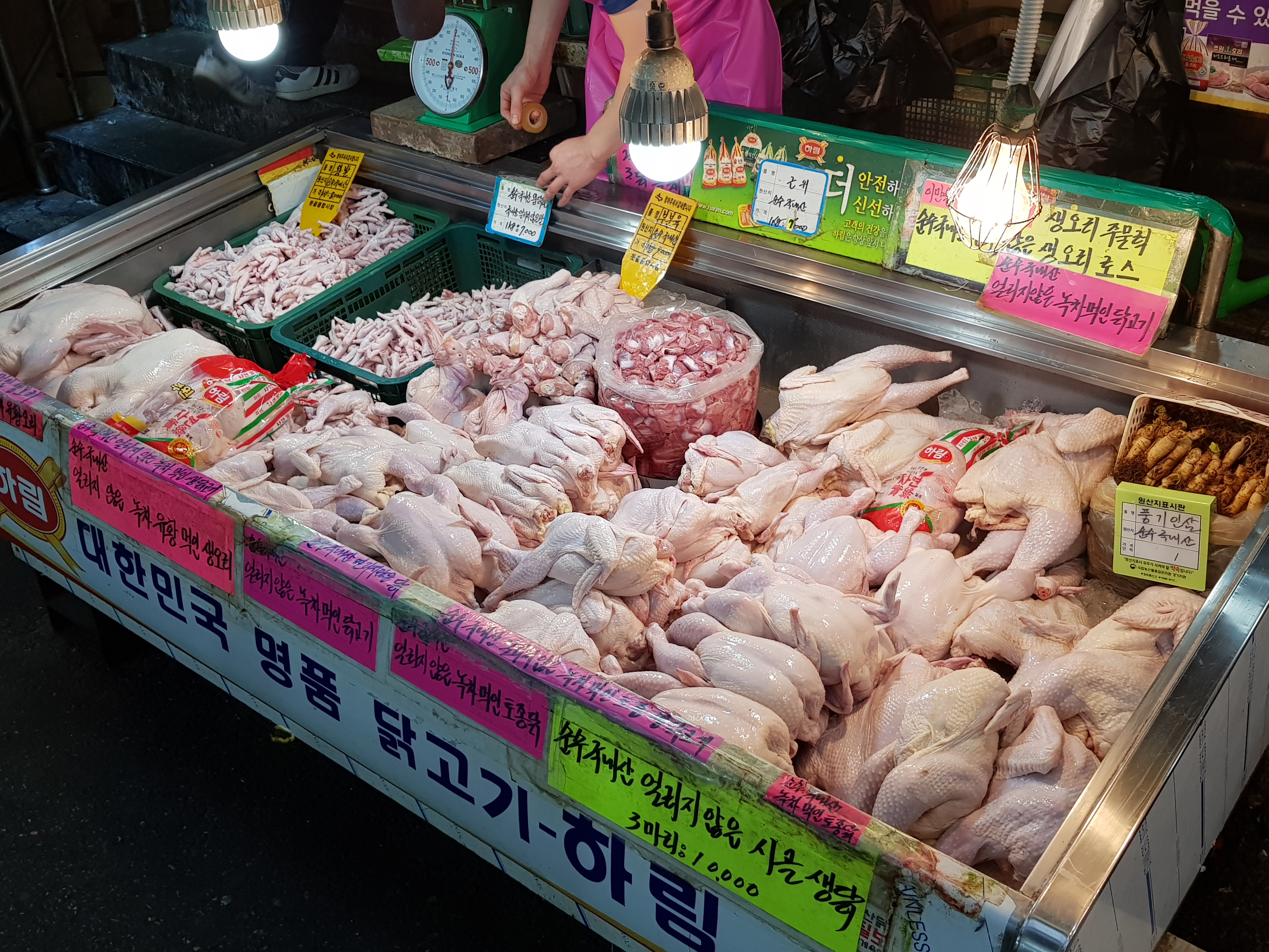 대우닭