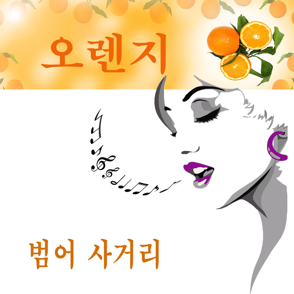 오렌지 노래방