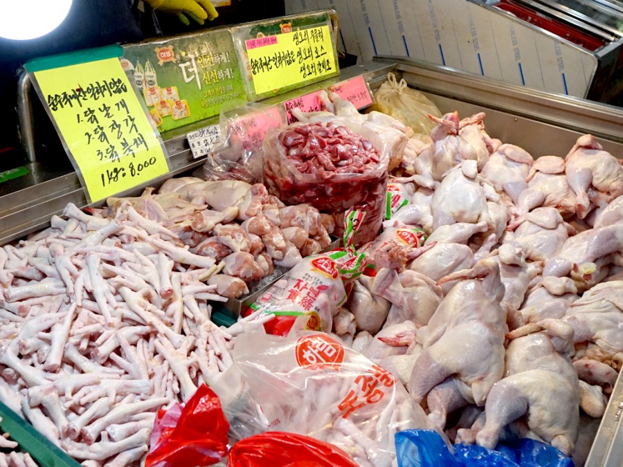 대우닭