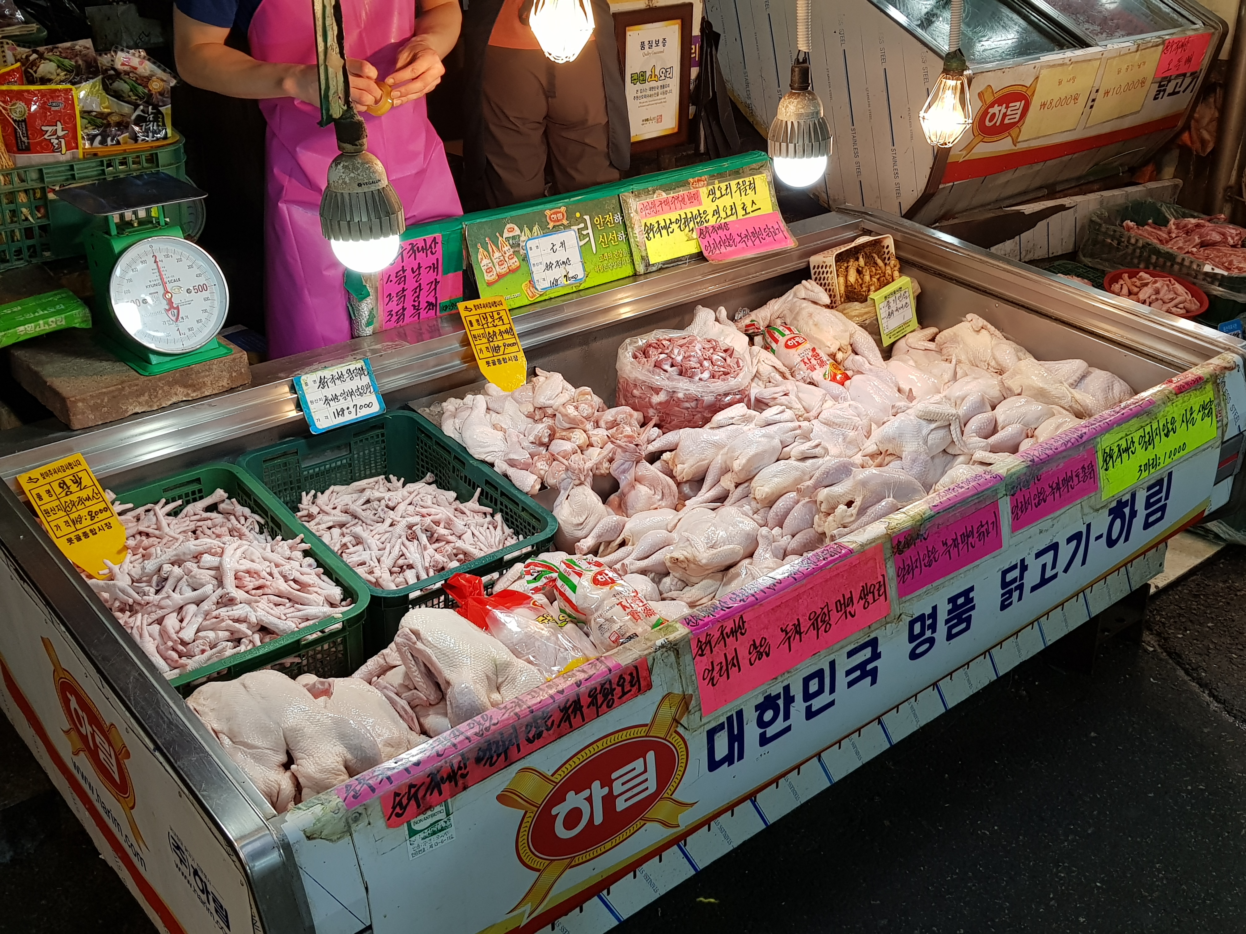 대우닭