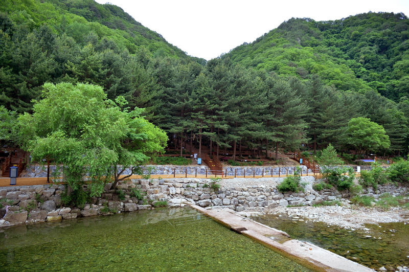 선바위자연캠핑장 — 횡성군