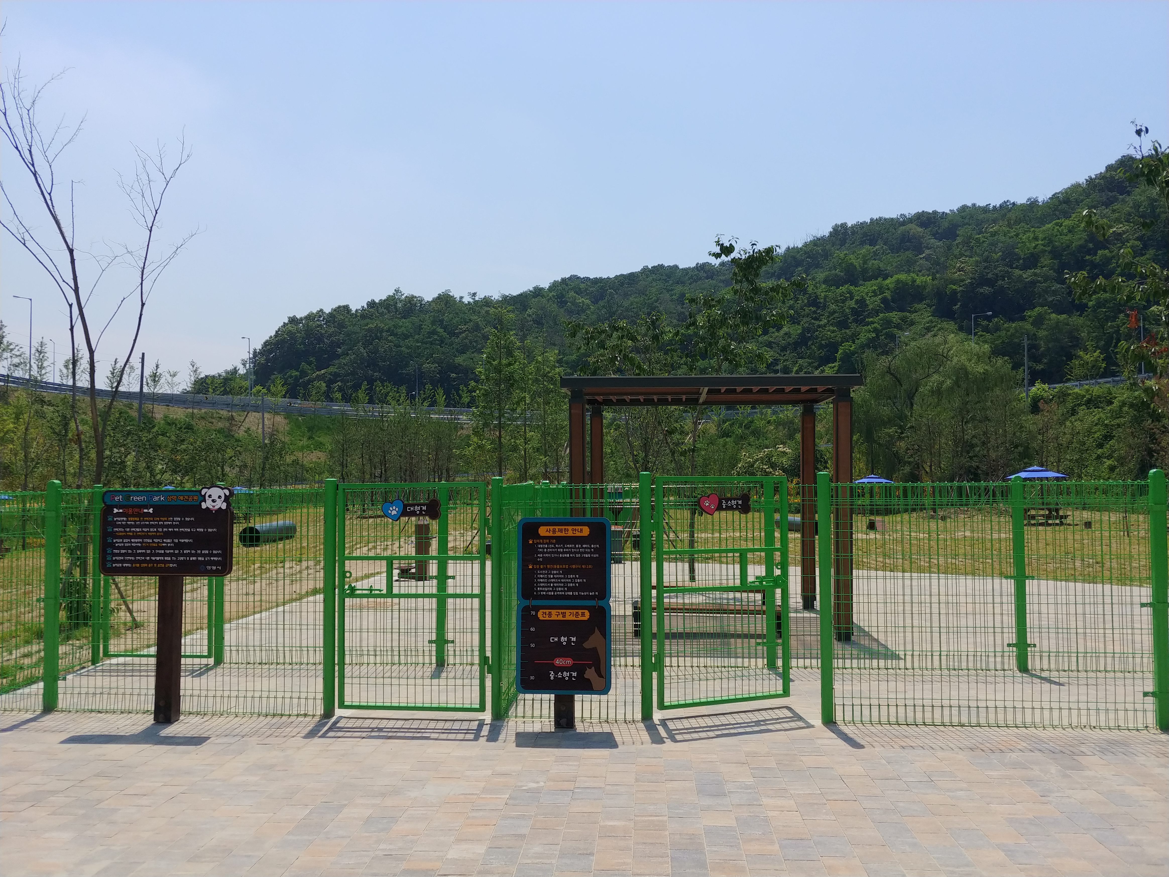 사진 2