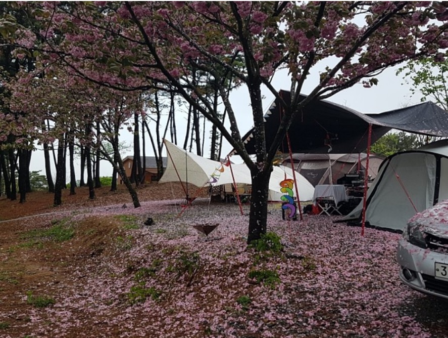 대부도 아라뜰캠핑장