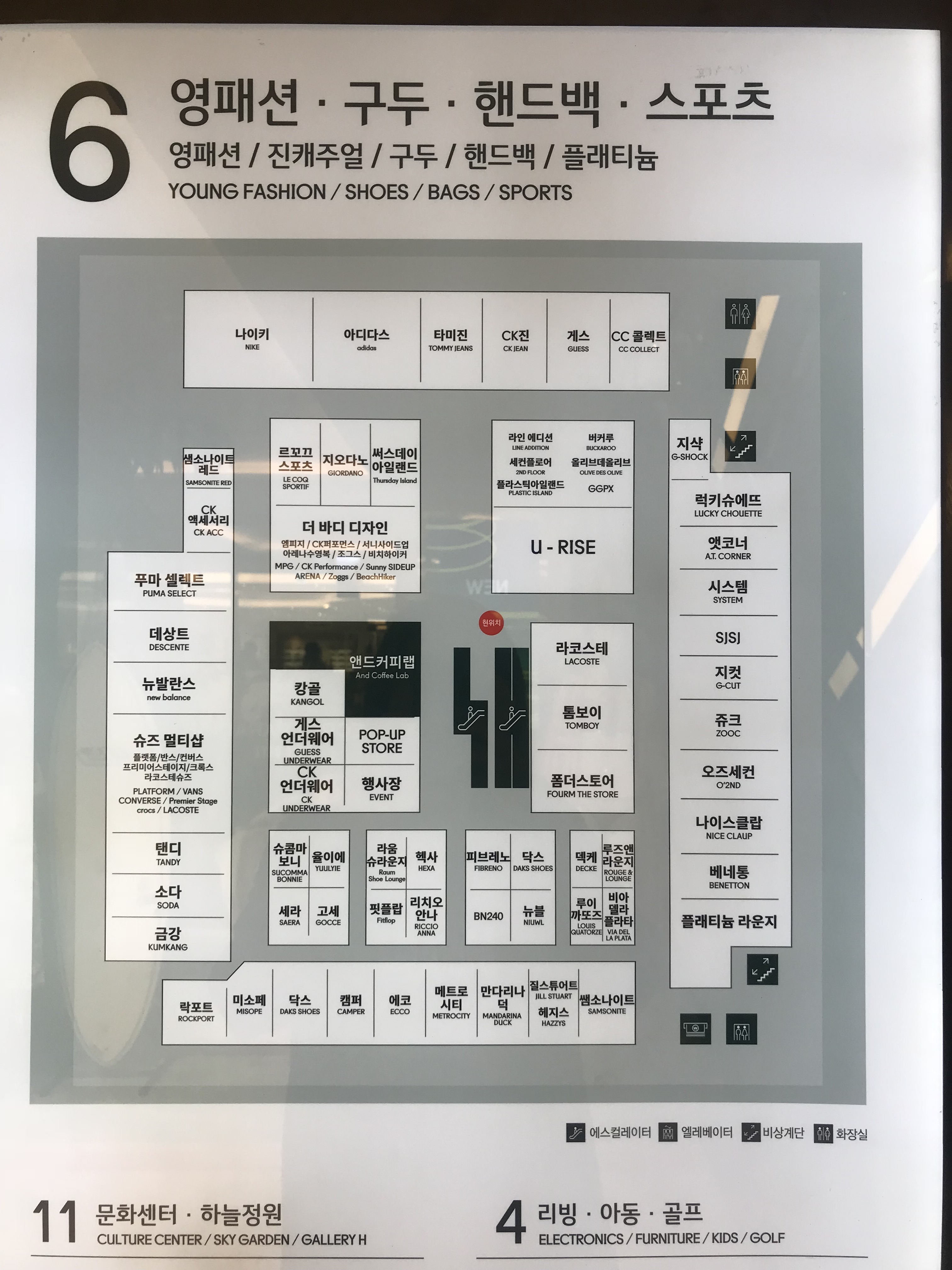라코스테 현대백화점 무역센터점