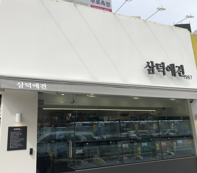 삼덕애견
