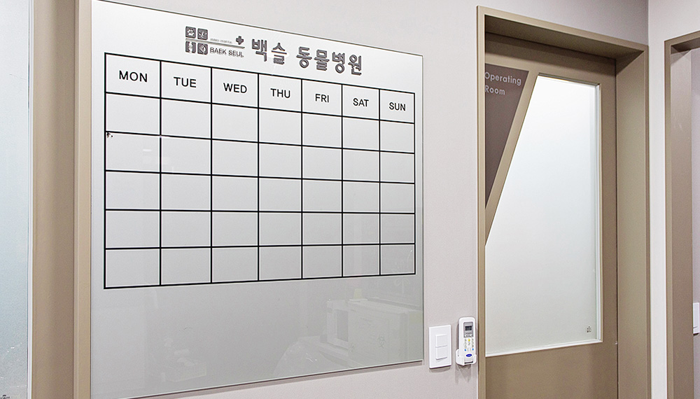 백슬동물병원 서울 대표 이미지