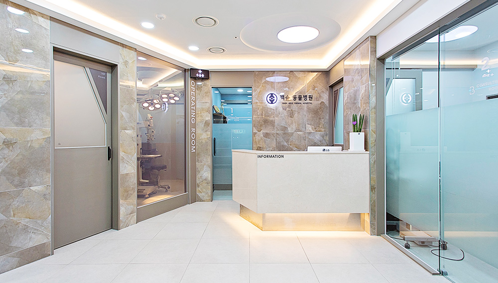 백슬동물병원 대표 이미지