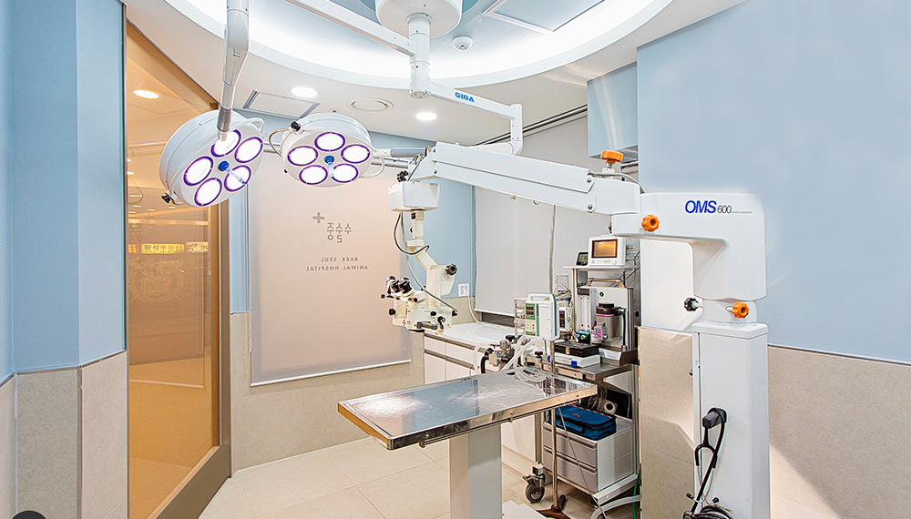 백슬동물병원 서울 대표 이미지