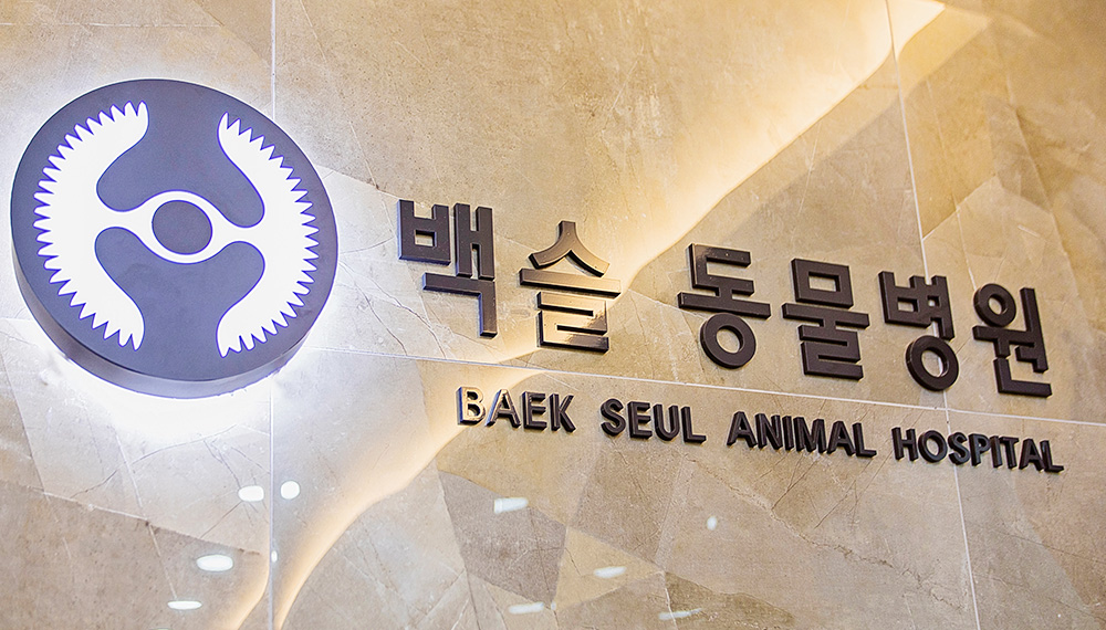 백슬동물병원 서울 대표 이미지