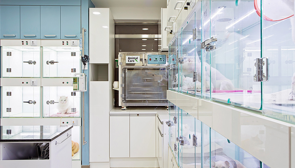 백슬동물병원 서울 대표 이미지