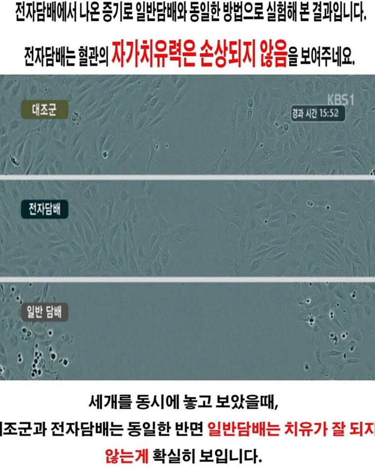 뉴턴전자담배 다대점
