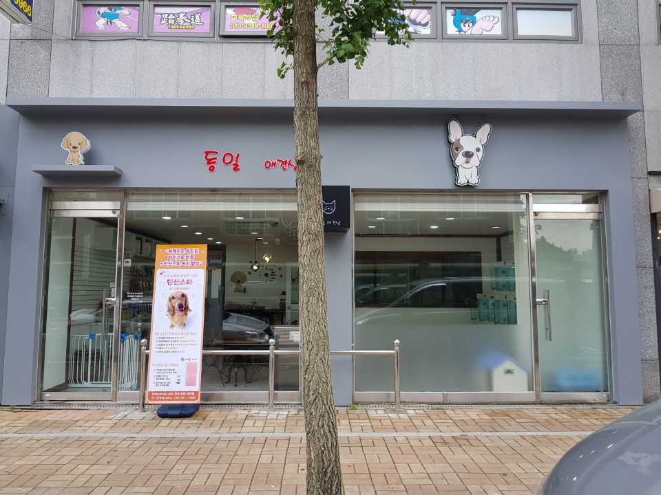 동일애견샵 대표 이미지