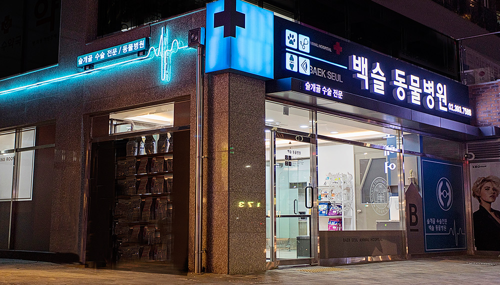 백슬동물병원 서울 대표 이미지