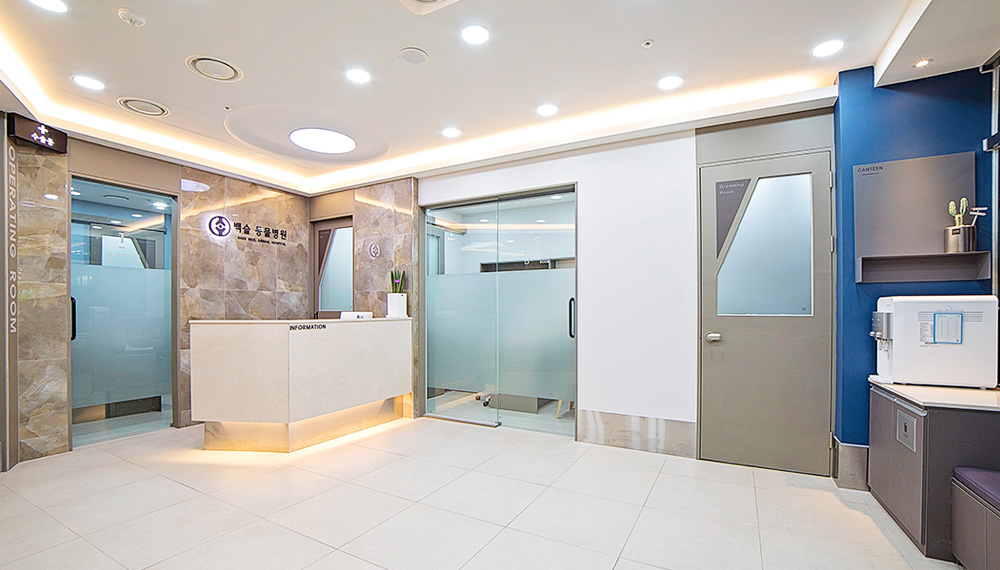 백슬동물병원 대표 이미지