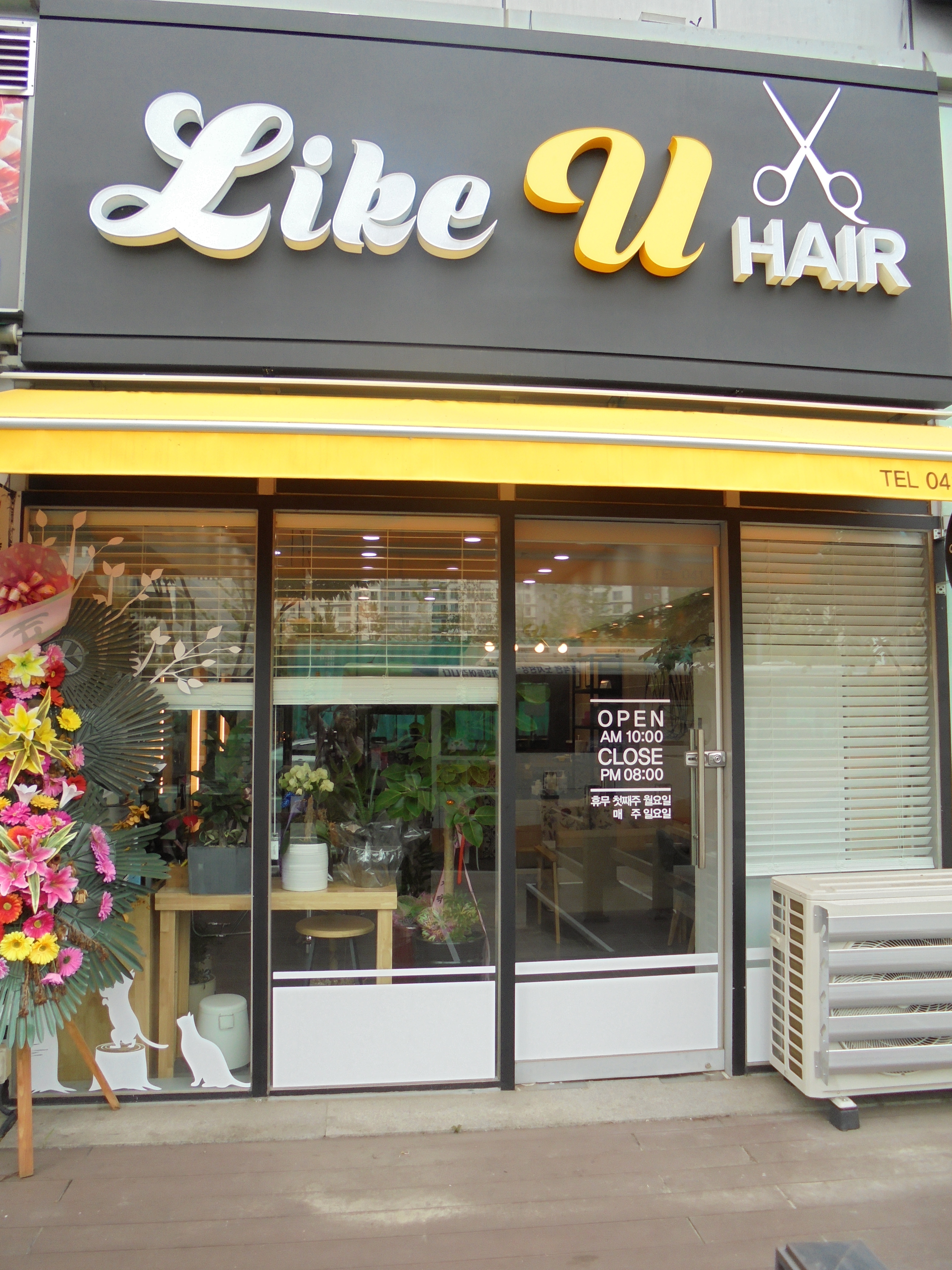 like  u  헤어