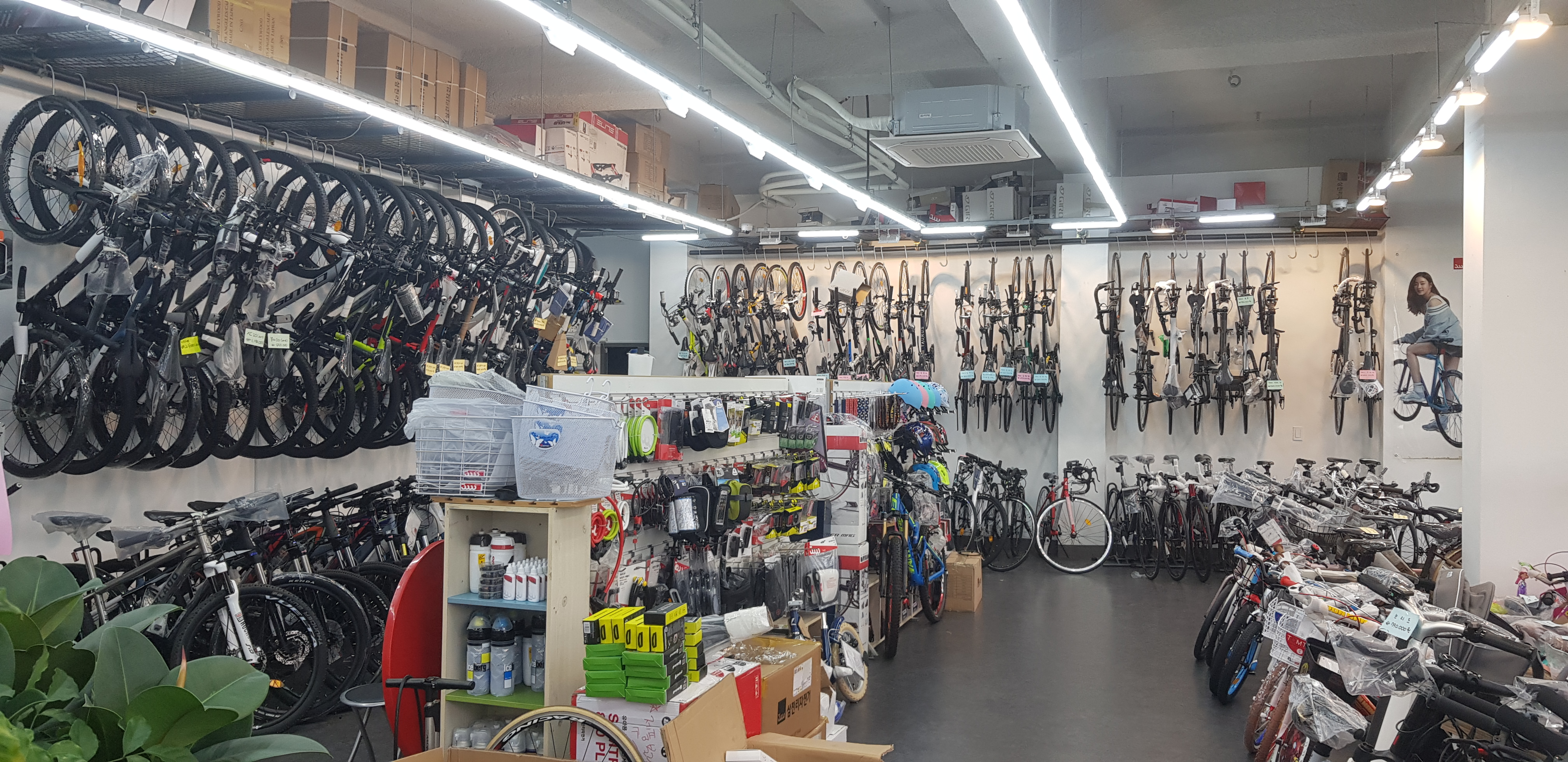 삼천리자전거 미사강변점 대표 이미지